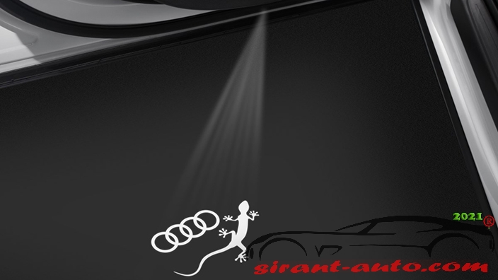 4G0052133K   Gecko Audi e-tron