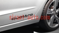 4G0064317AY9B     quattro Audi e-tron