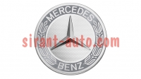 A17140001257P70   Mercedes S class W221
